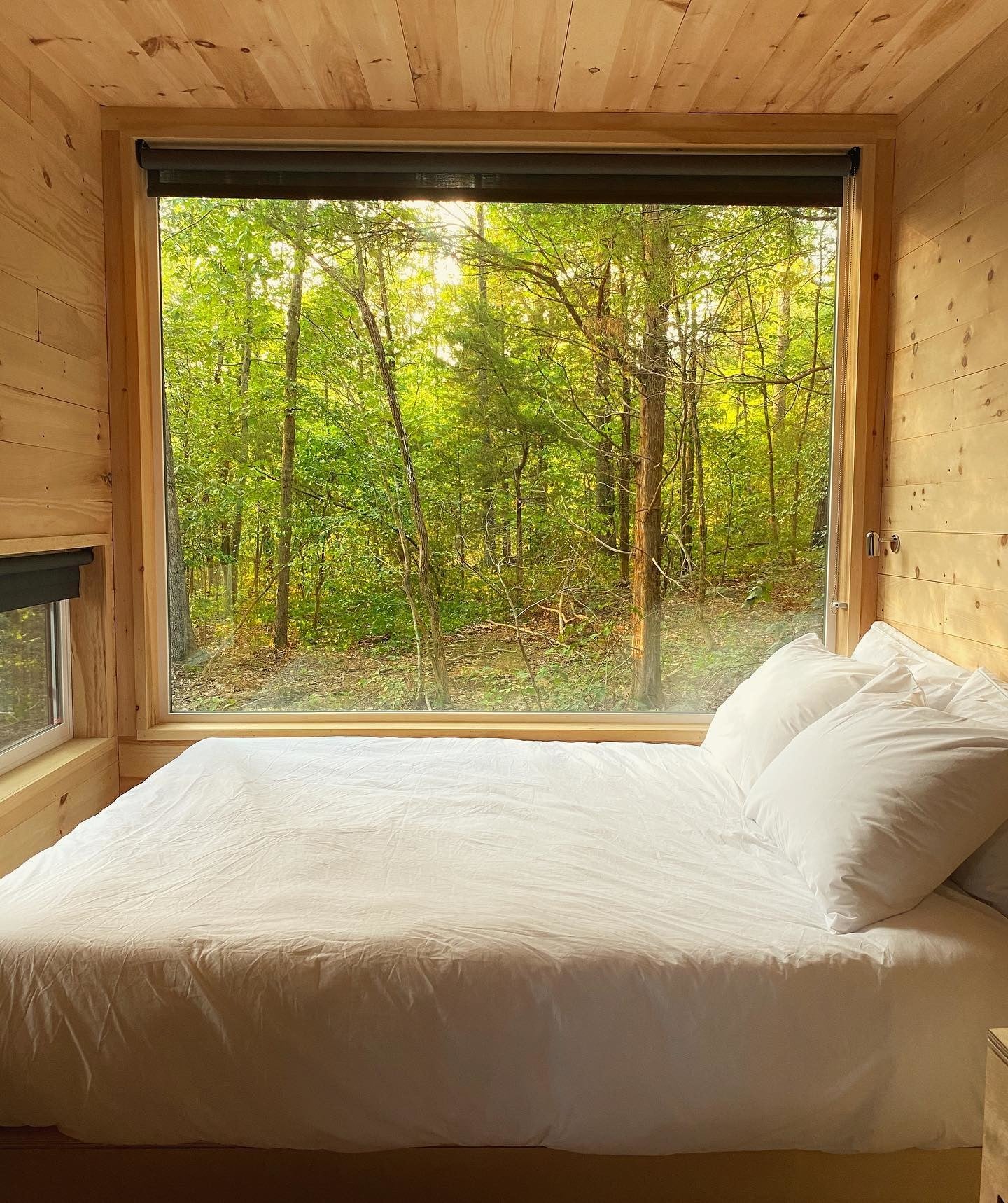 Why A Small Cabin Rental Is The Perfect Escape - UltiUber Life