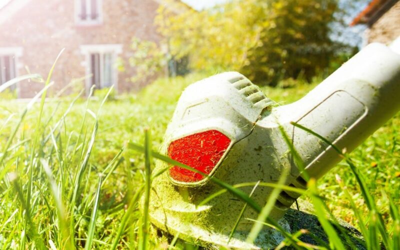 The Essential Equipment for Better Lawn Care