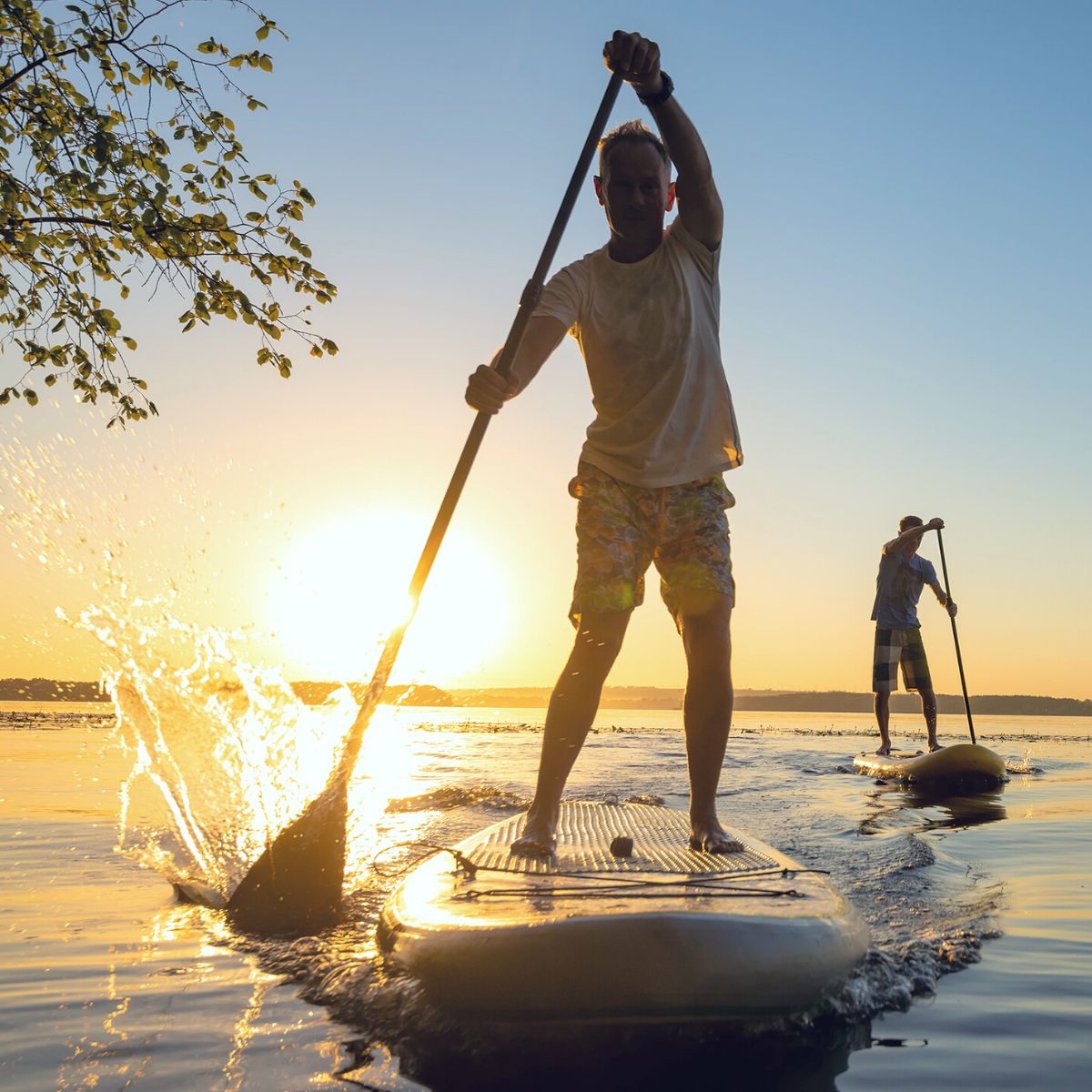 5 of the Best Paddleboarding Locations in the United States UltiUber Life