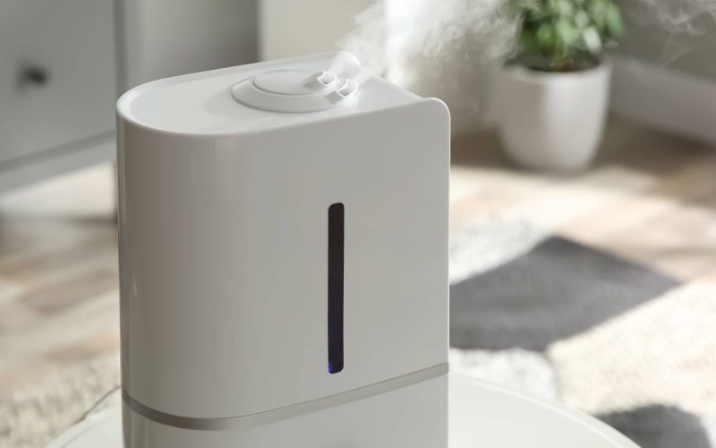 A home air humidifier sitting on a table as it releases vapor into the air. The room around it has small plants and furniture.