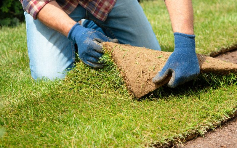 A man kneeling and installing a turf patch in a backyard. He wears blue gloves, jeans, and a plaid shirt.