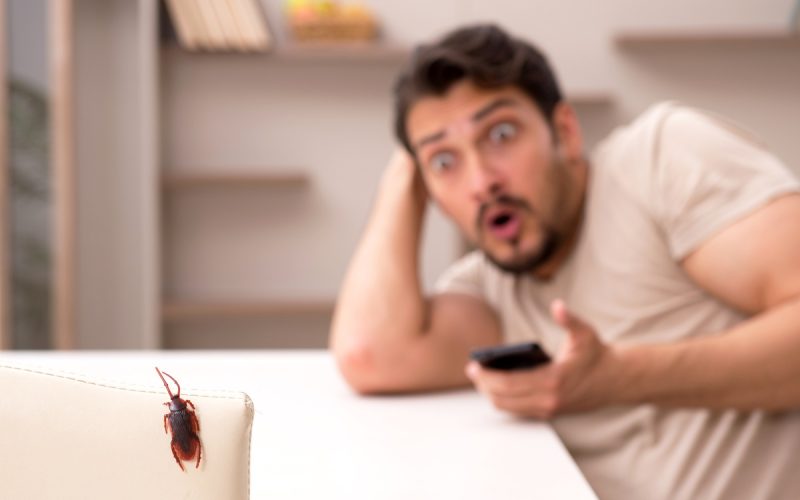 A man sits at a table with a look of shock as a cockroach crawls on a chair near him. The man is slightly blurry.